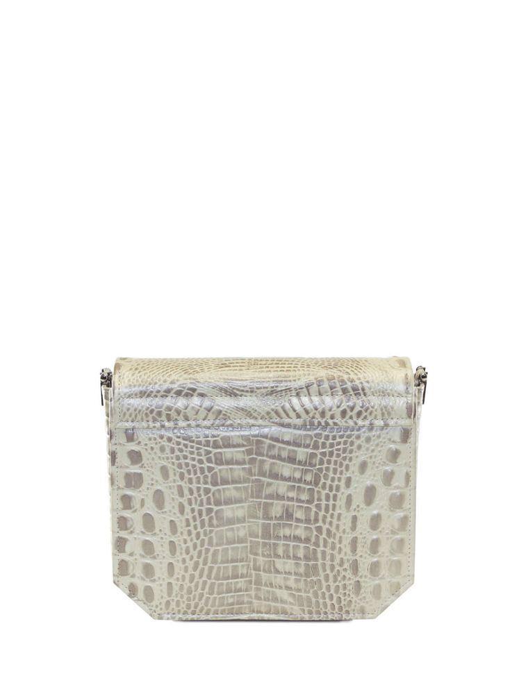 Champagne Radiant Clutch Bag